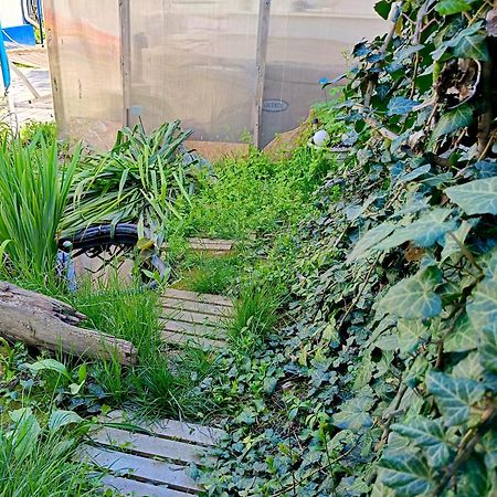 Casa Babica Guesthouse Costinesti Zewnętrze zdjęcie