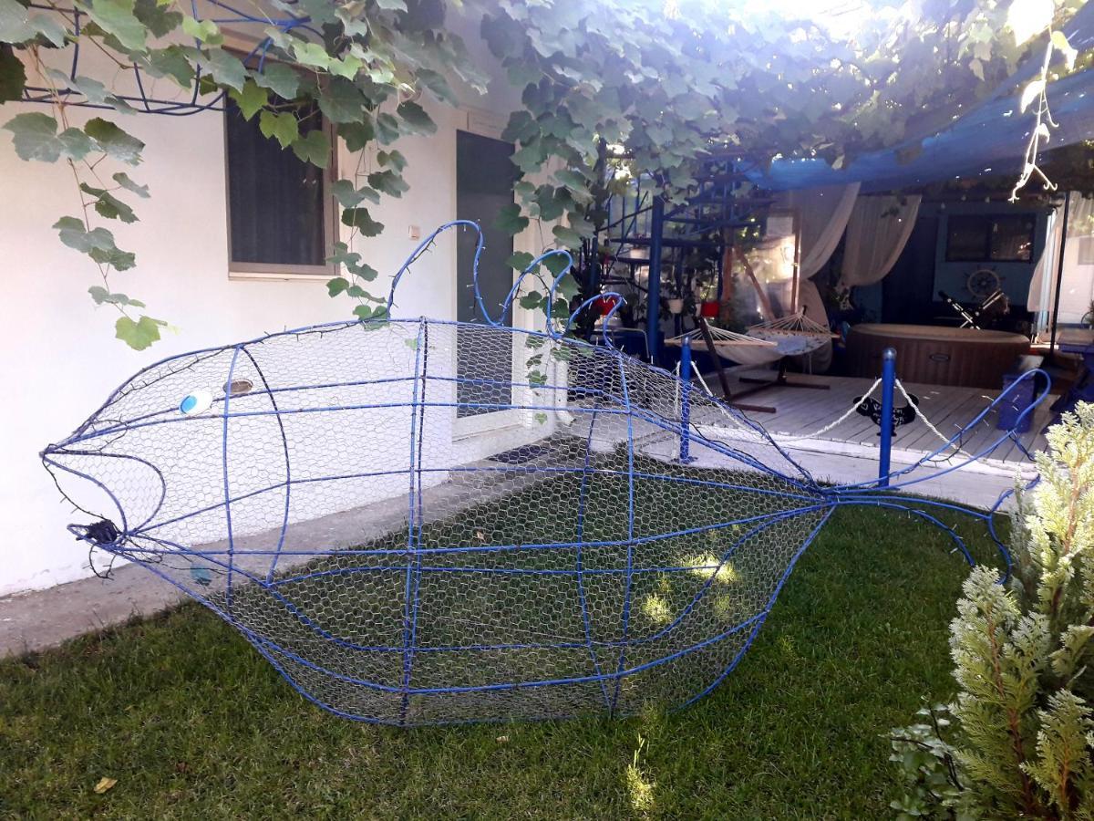 Casa Babica Guesthouse Costinesti Zewnętrze zdjęcie