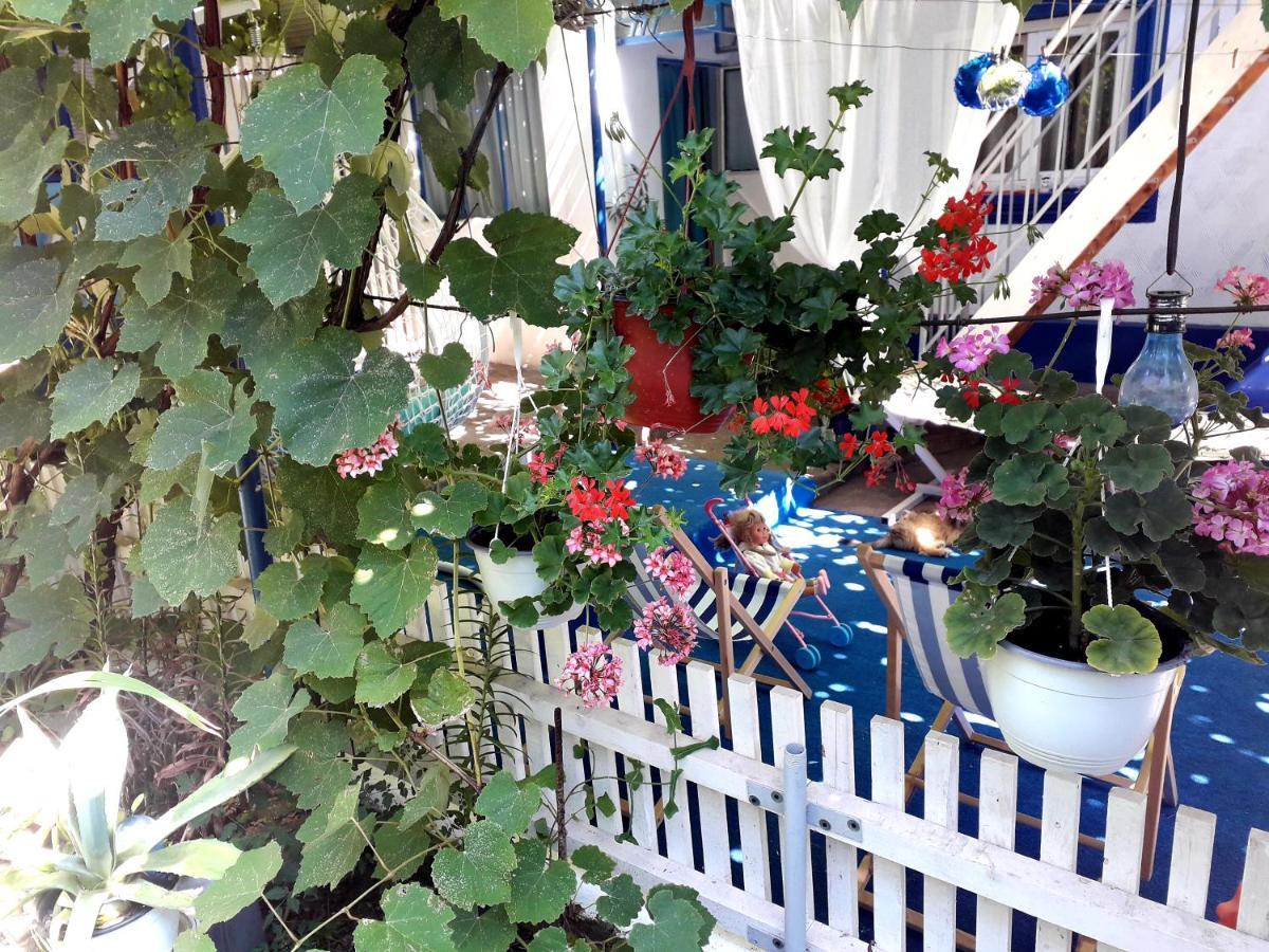 Casa Babica Guesthouse Costinesti Zewnętrze zdjęcie
