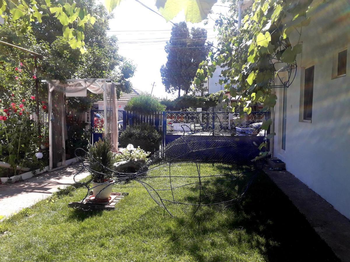 Casa Babica Guesthouse Costinesti Zewnętrze zdjęcie