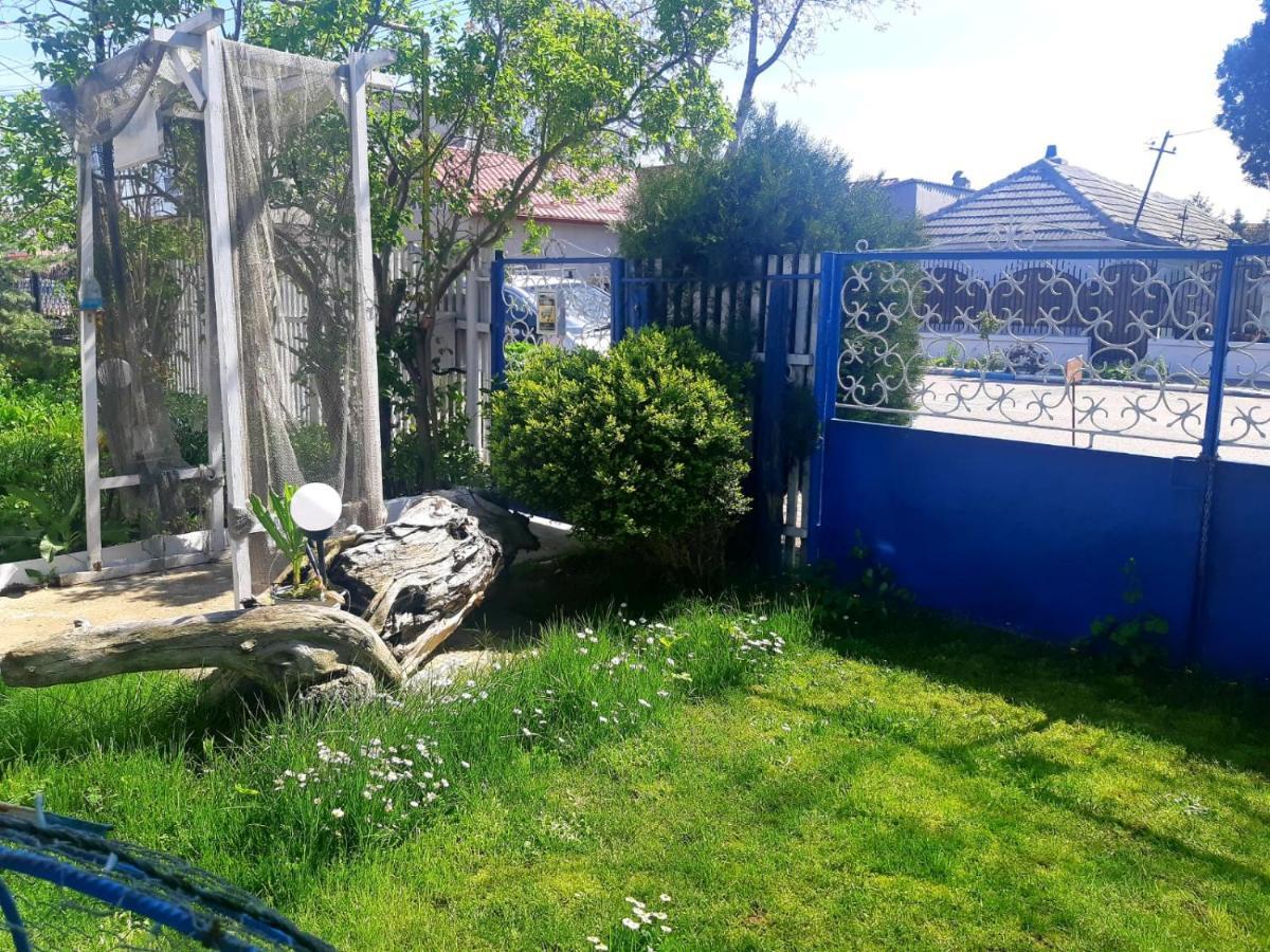 Casa Babica Guesthouse Costinesti Zewnętrze zdjęcie
