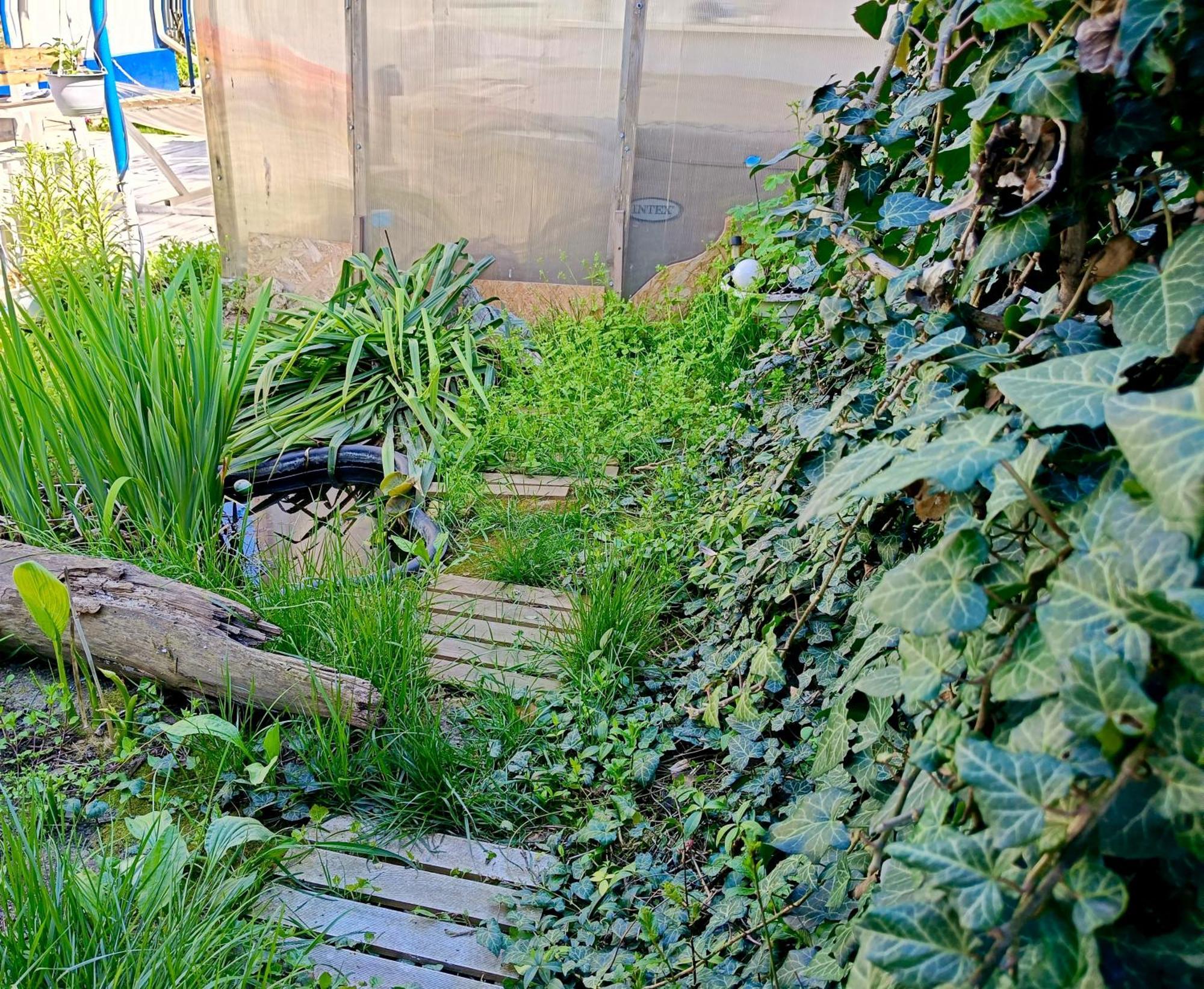 Casa Babica Guesthouse Costinesti Zewnętrze zdjęcie